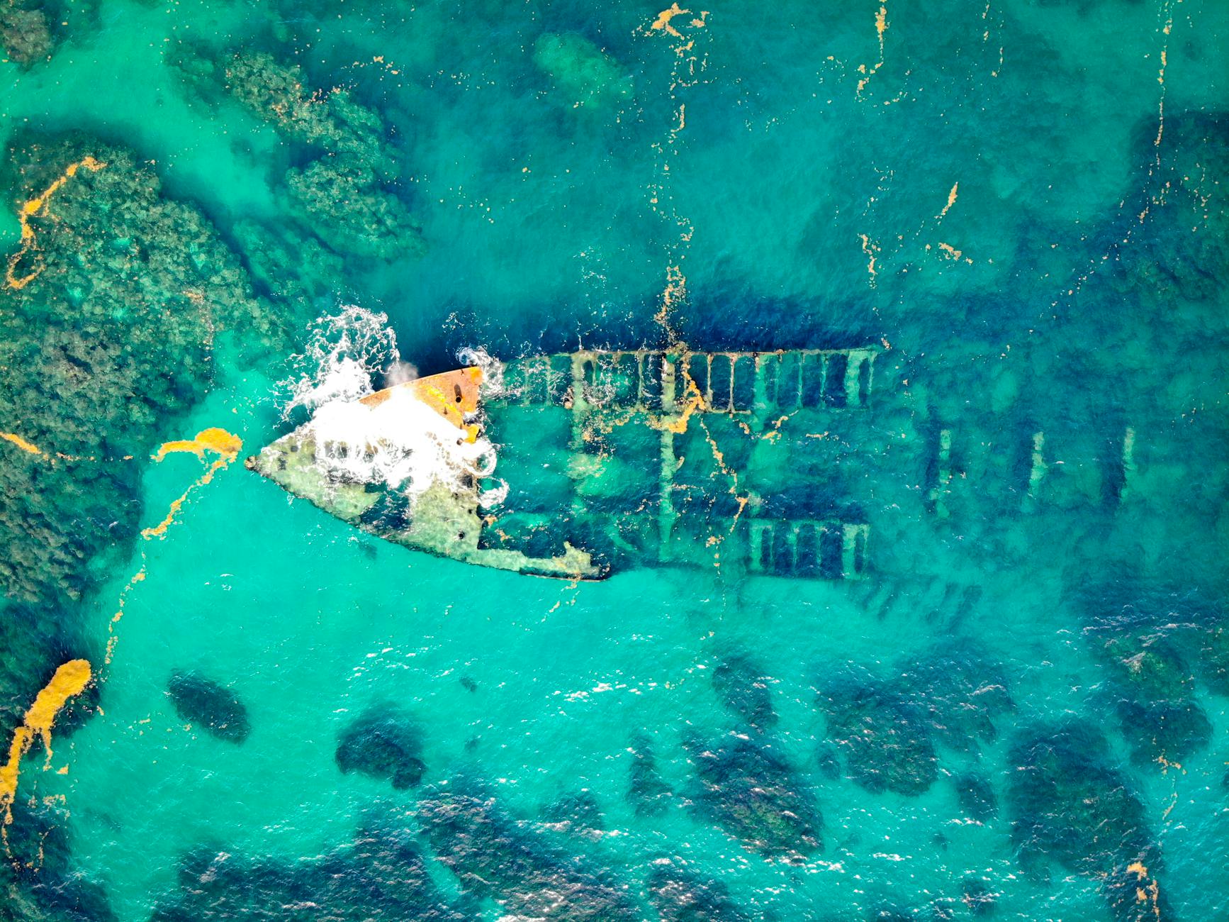 Radioactive Steel, Antiquarian Books, & the Struggle for Self-Expression